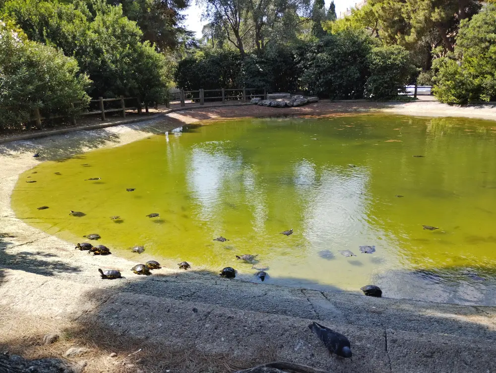 parco 2 giugno bari 5