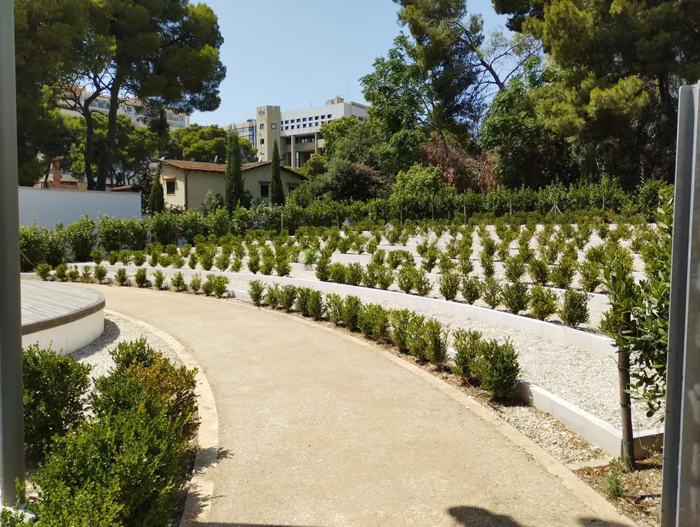 Parco Bonomo, il nuovo polmone verde di Bari 3 parco bonomo via amendola bari 3