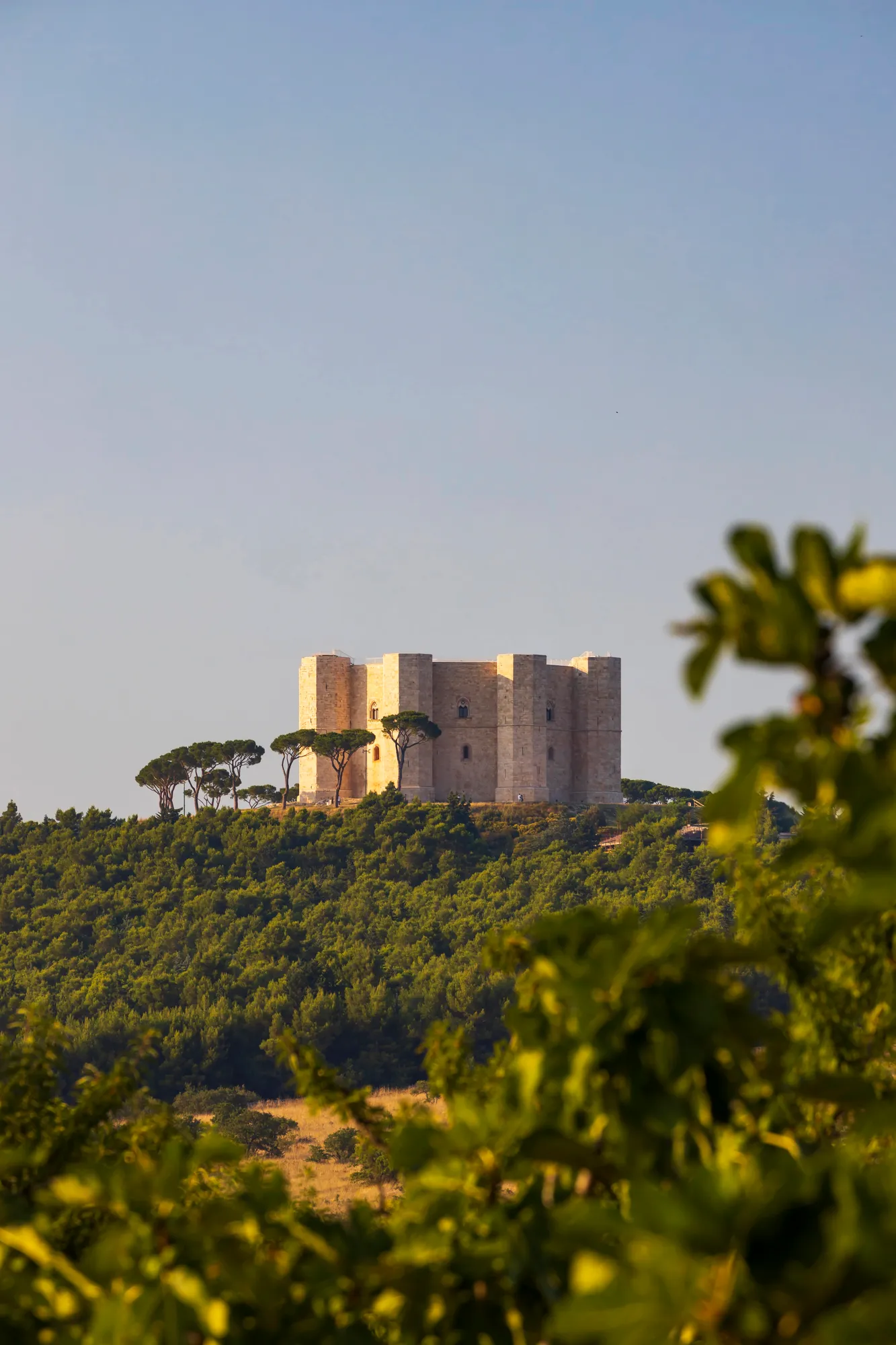 panorama castel del monte puglia