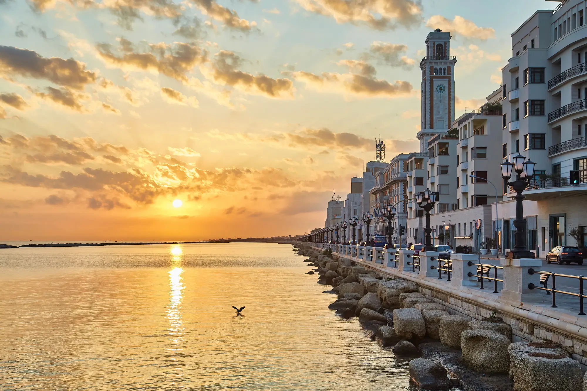 pinacoteca corrado giaquinto bari 1