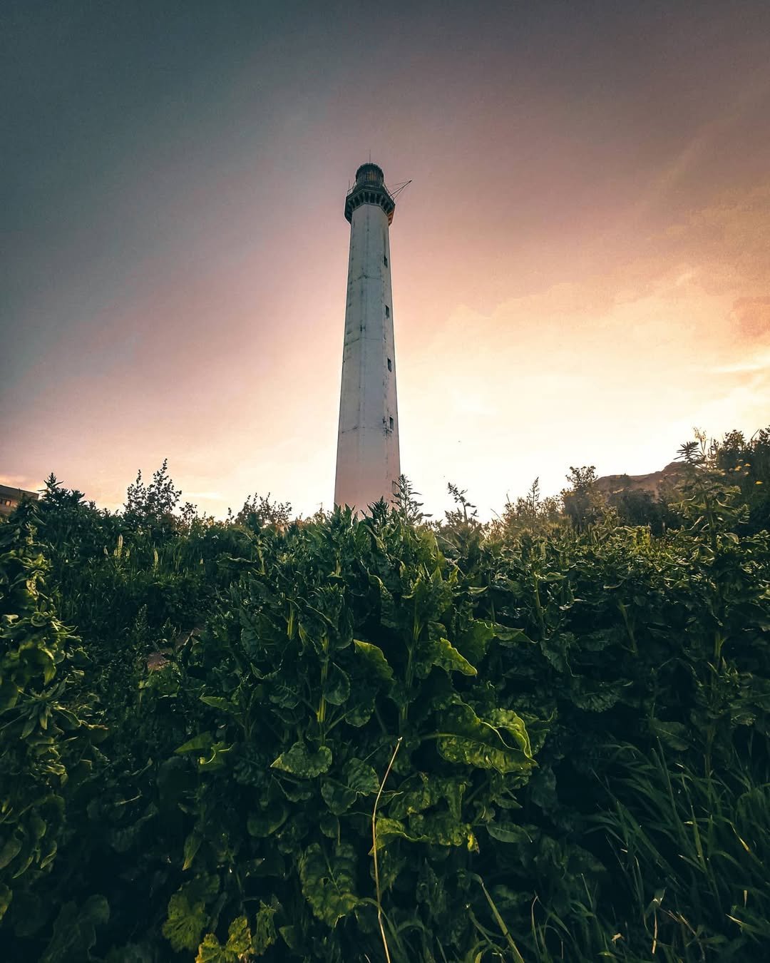 L'ora d'oro di Bari: dove guardare il tramonto sul mare 7 tramonto faro san cataldo bari