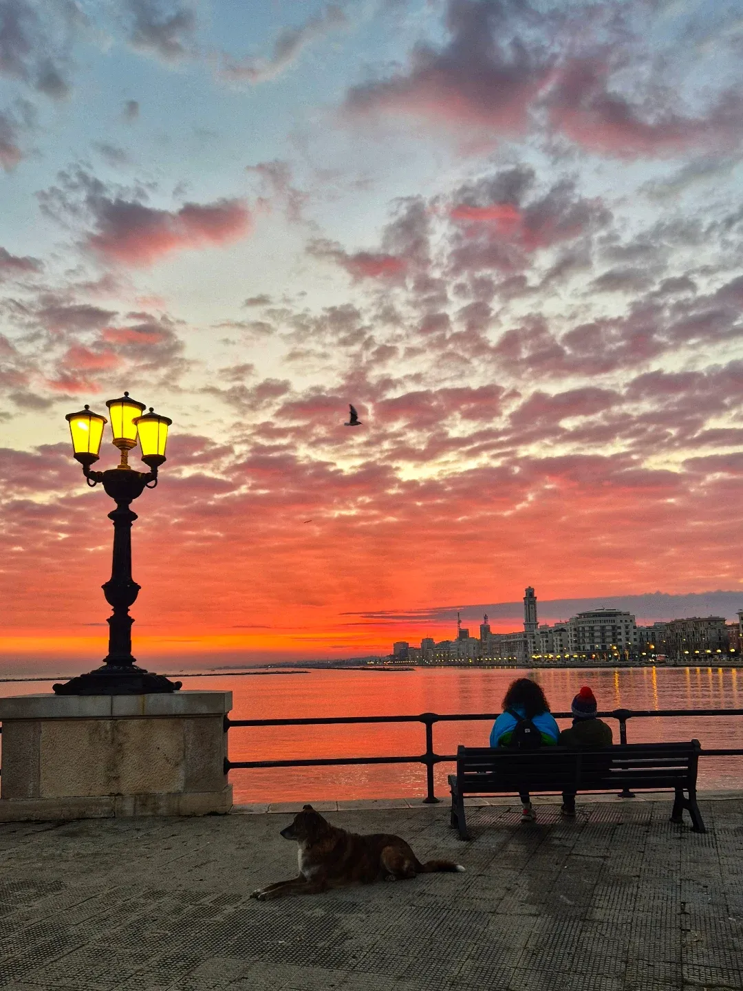tramonto lungomare bari