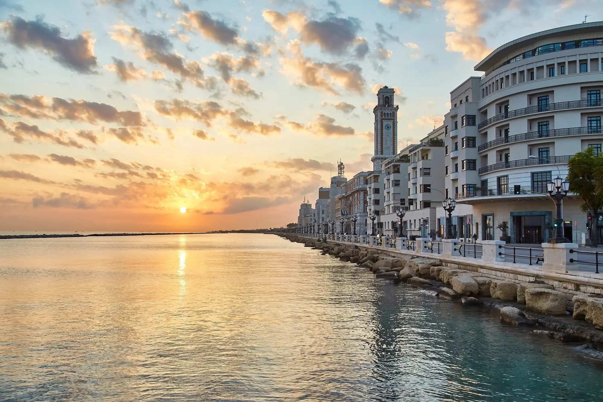 pinacoteca corrado giaquinto bari 7