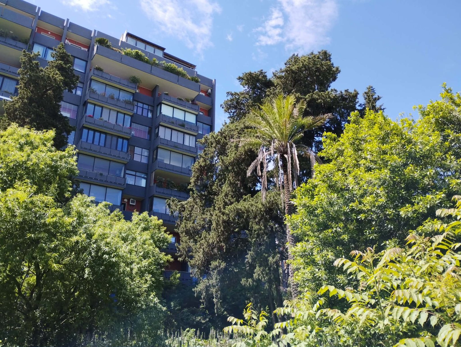 Bosco di Via Cancello Rotto: l'oasi verde nascosta tra i palazzi di Bari 2 bosco urbano bari 1