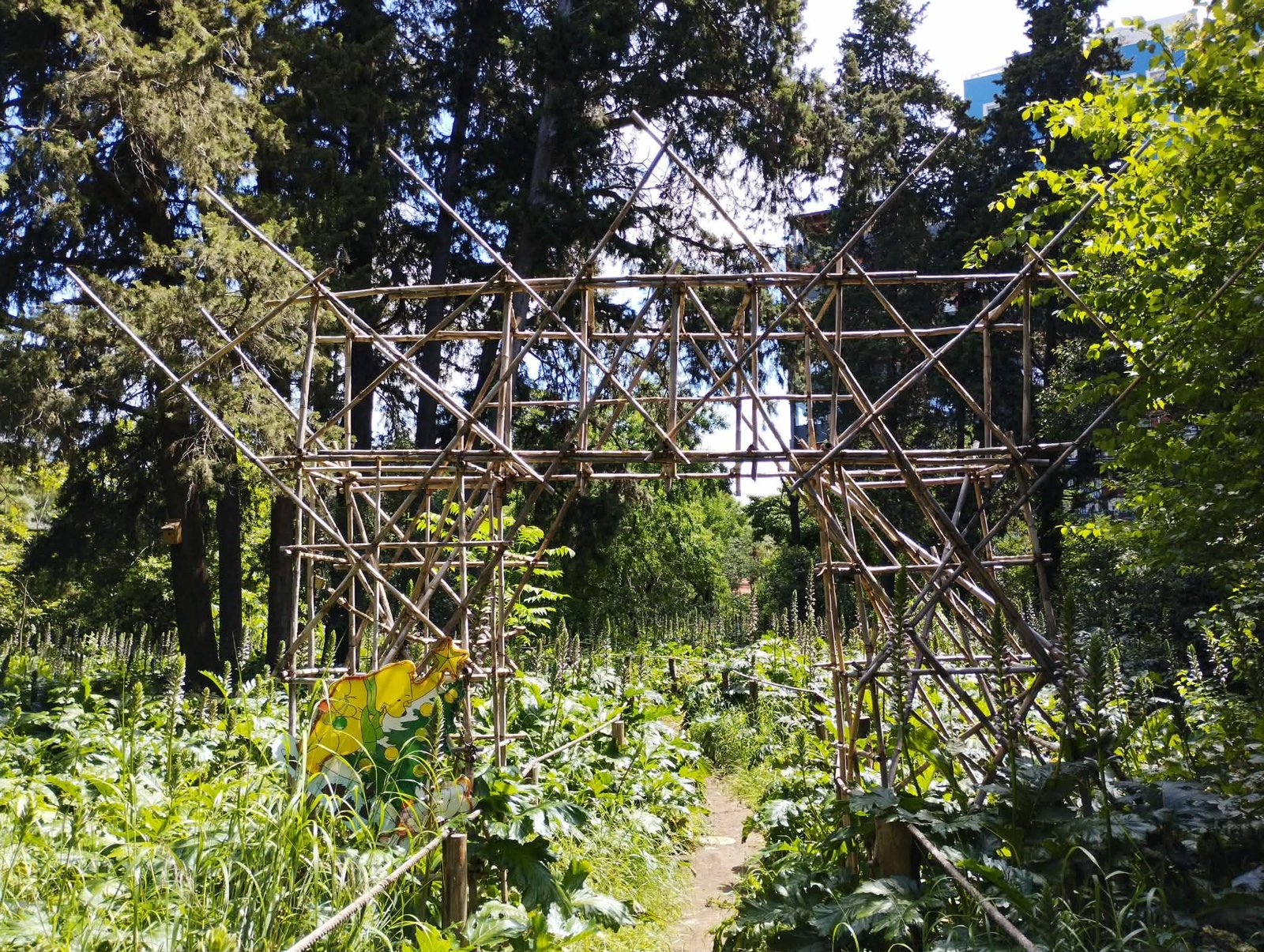 Bosco di Via Cancello Rotto: l'oasi verde nascosta tra i palazzi di Bari 5 bosco urbano bari 4